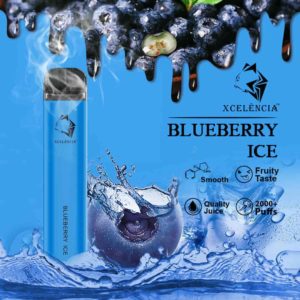 Gunnpod 2000 puffs - Blueberry Ice