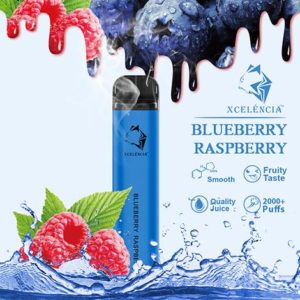 Gunnpod 2000 puffs - Blueberry Raspberry