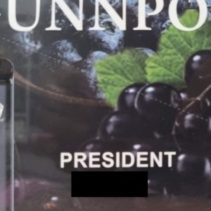 Gunnpod 2000 puffs - President(Grape Blueberry)