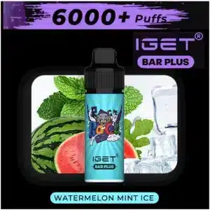 6000 IGET Watermelon Mint