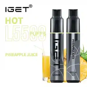 5500 Puff IGET HOT - Pineapple Juice