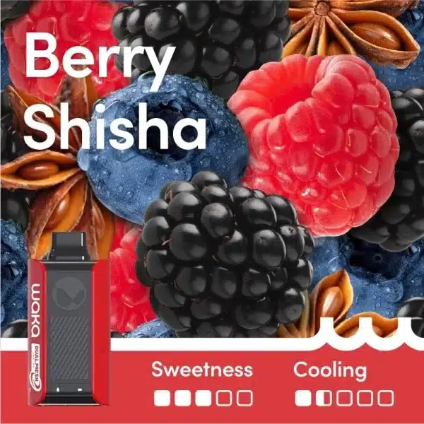 Waka SoPro Berry Shisha