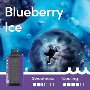 Waka SoPro Blueberry Ice